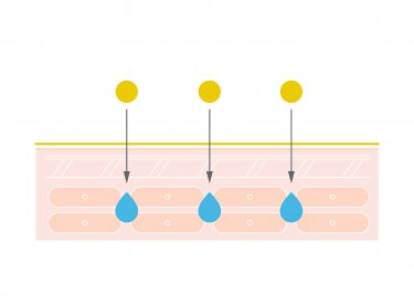 Skin barrier restoration